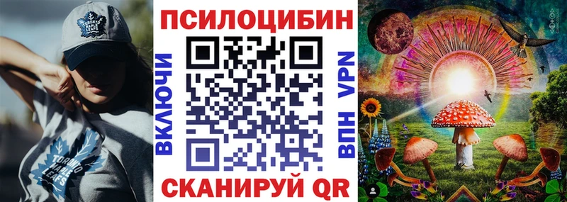 Псилоцибиновые грибы мухоморы даркнет сайт shop телеграм Пошехонье