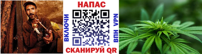 даркнет наркотические препараты  Пошехонье  Шишки марихуана гибрид  MEGA онион 